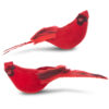 7" CLIP-ON CARDINAL ORNAMENT2 Asst RedMade of Foam and FeathersMeasures 7"L X 2.25"W X 3"H; 7"L X 2"W X 3"H