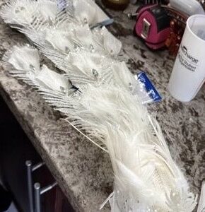 28" White Peacock