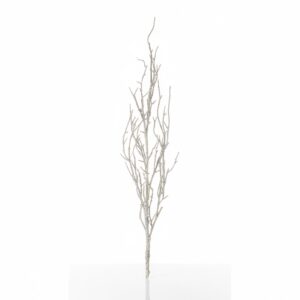 Melrose Birch Twig Branch