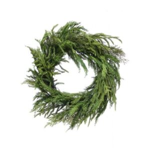 26" CYPRUS/ NORFOLK PINE WREATH