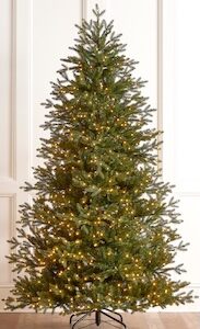 7.5Ft RAZ Nordic Fir with Brilliant LED Lights